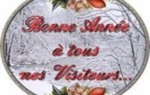 BONNE ANNEE 2012