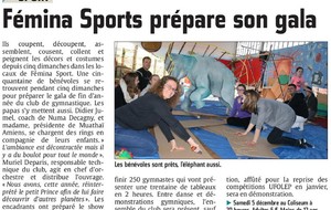 Article du Courrier Picard