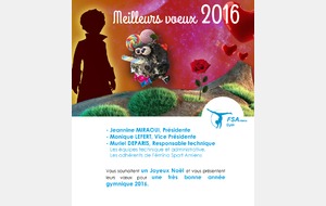 Meilleurs voeux pour l'année 2016 !