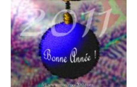 BONNE ANNEE 2011
